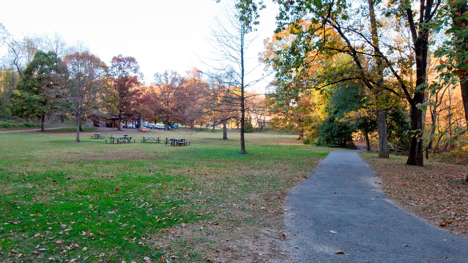 A grassy area with pavilion, picnic tables and several trails. It is shadowed by tall trees.