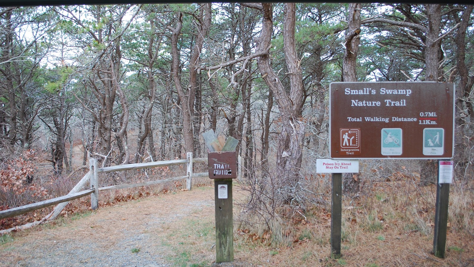 Entrance to the Small\'s Swamp trail. Brown sign and trail maps on a post. Trail leads into forest.