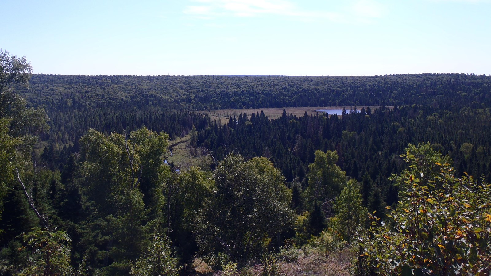View from atop a ridge overlooking Grace Creek, forests, and the Red Oak Ridge on Isle Royale. 