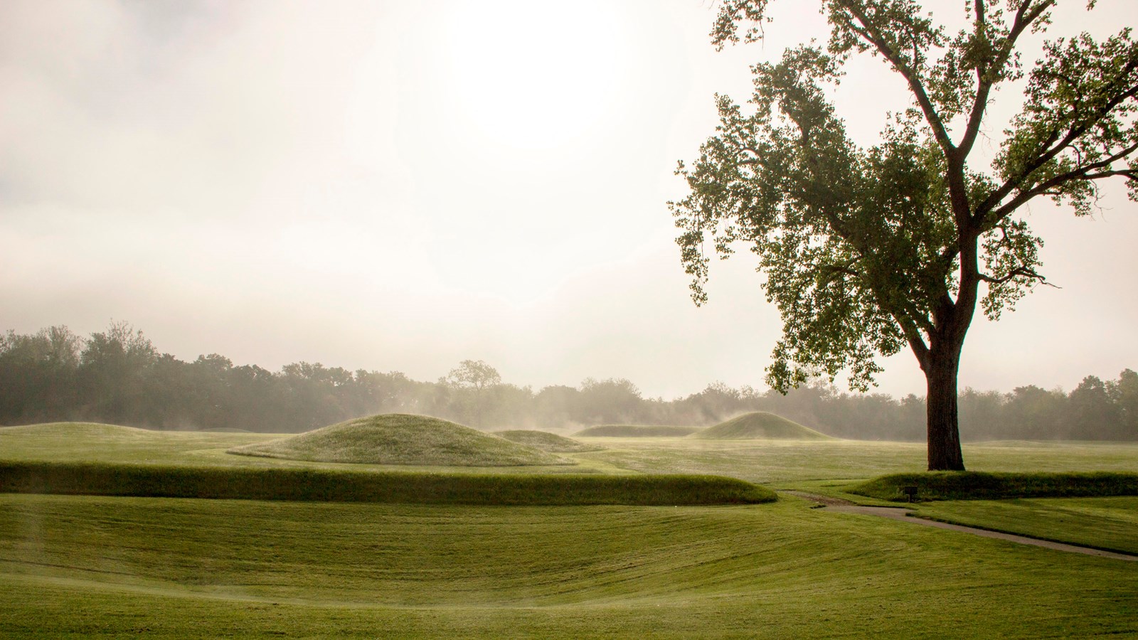 Green grass-covered mounds with steam rising from them