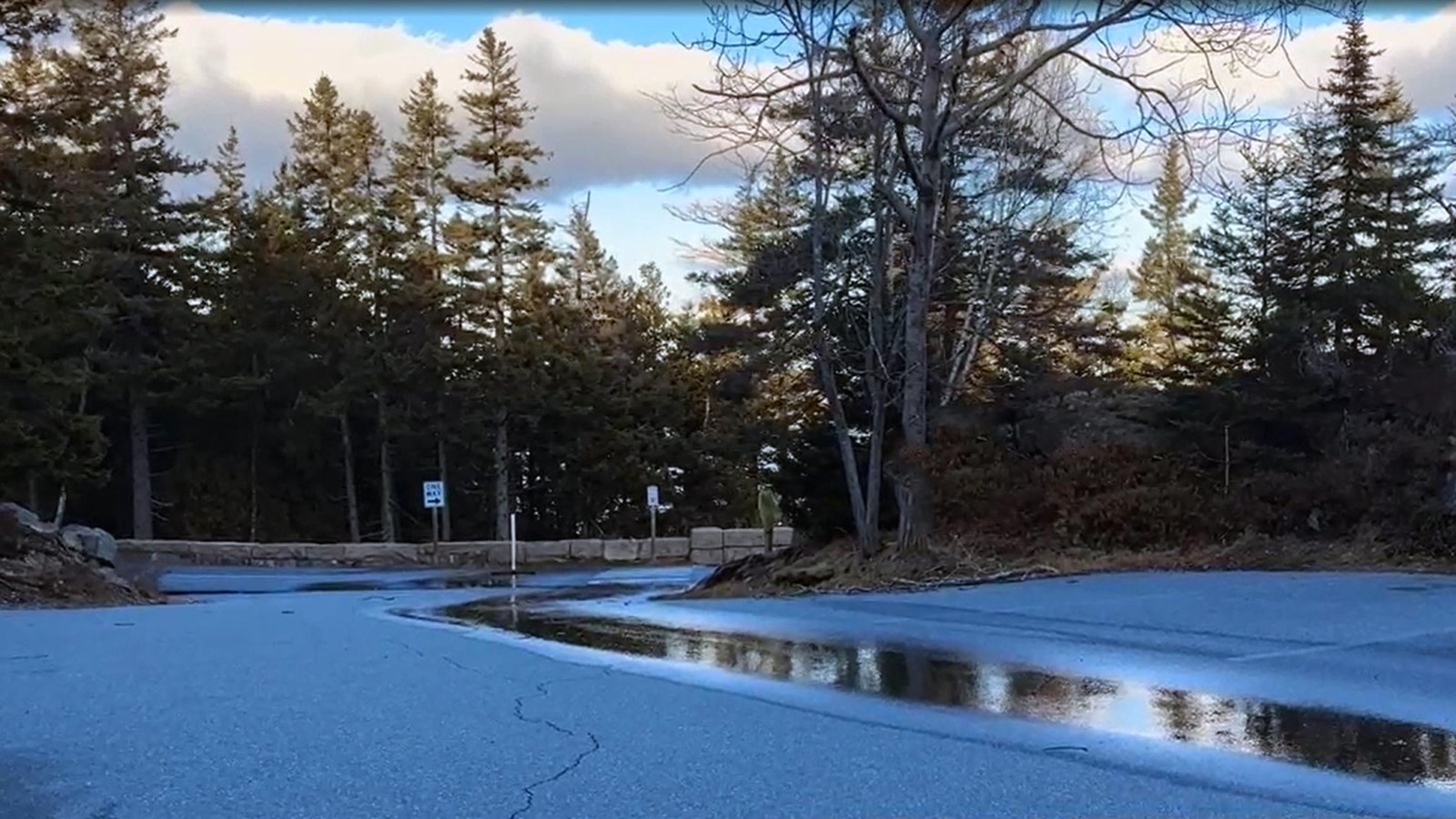 Asphalt parking lot surrounded by tall spruce trees with a stone wall and one-way sign in distance