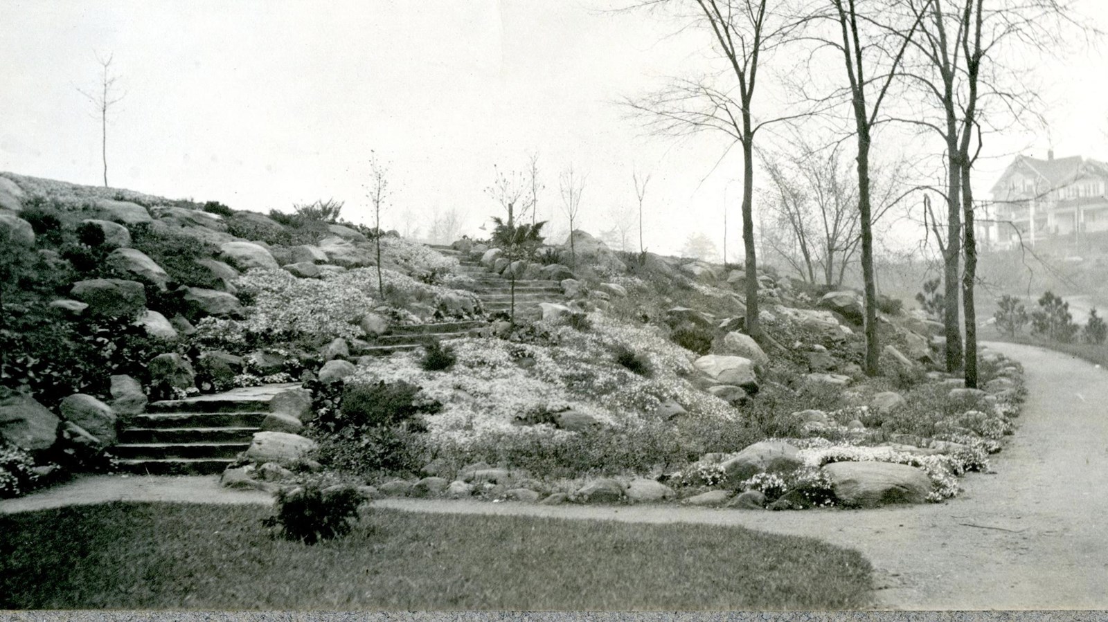 Black and white of rock stairways in rocky grassy area with path at the bottom