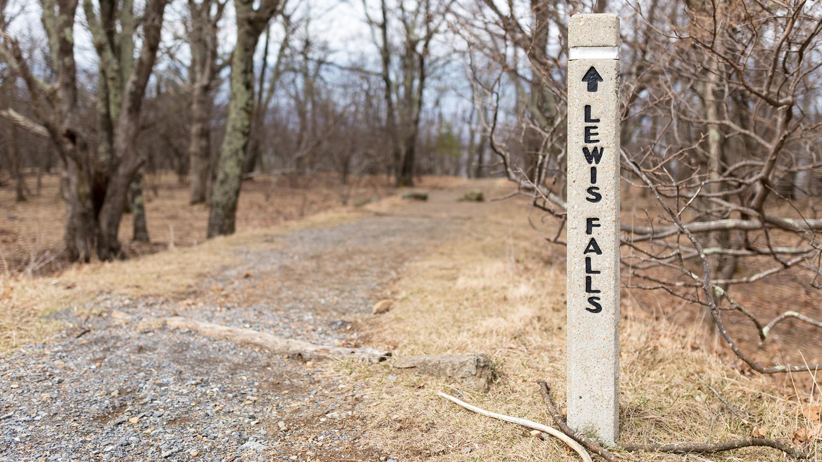 A concrete post at the head of a trail the reads Lewis Falls