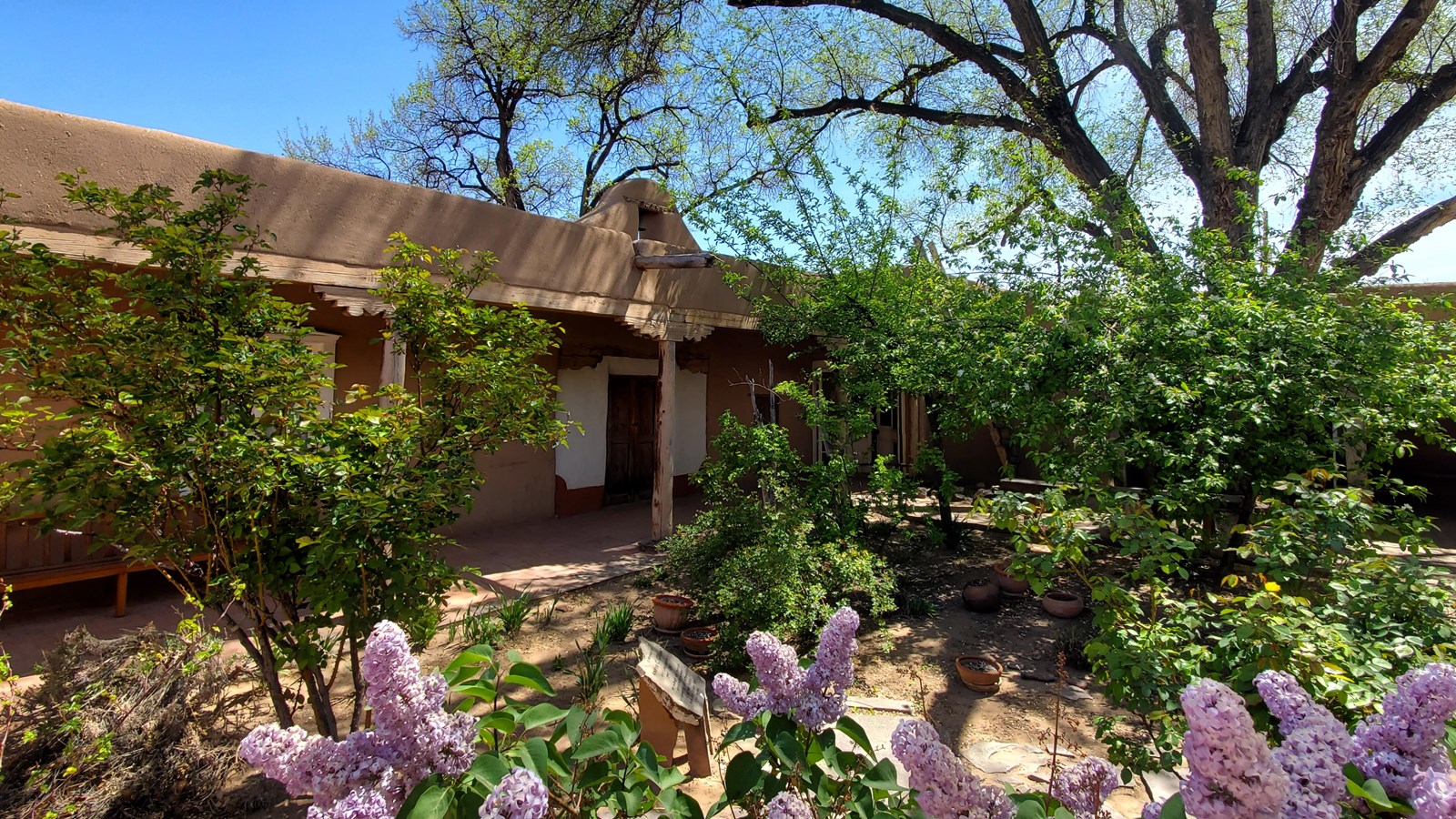 Purple flowers lead to a lush garden in front of a single story historic building.