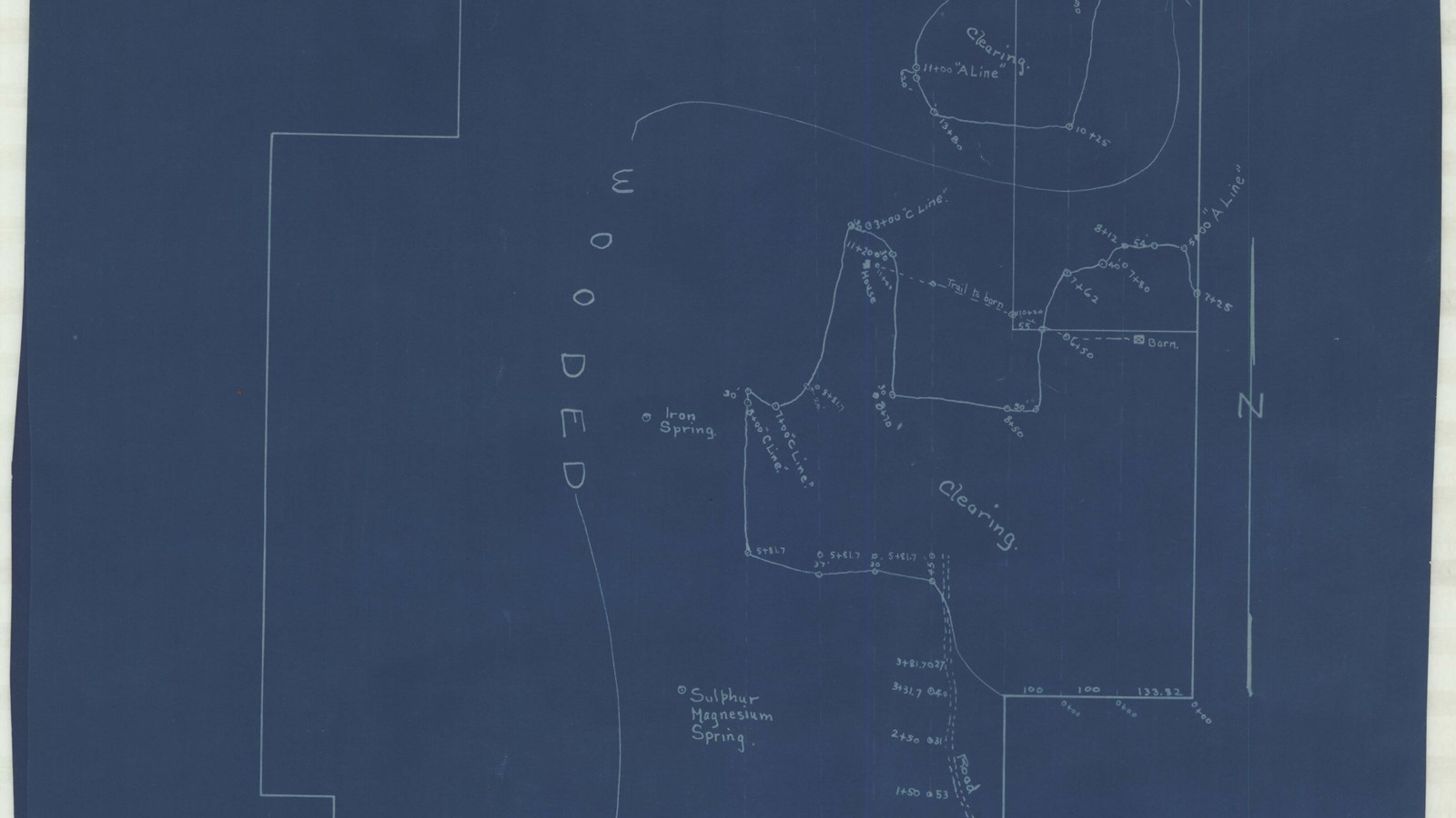 Blueprint of rectangular park with different sections with wooded area and clearing area