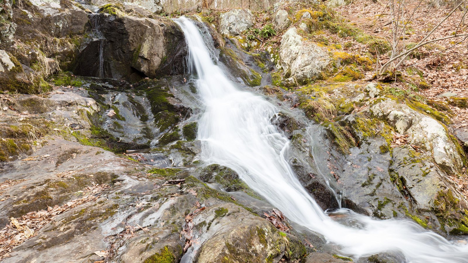 A small waterfall cascades down rocks amidst brown leaves.