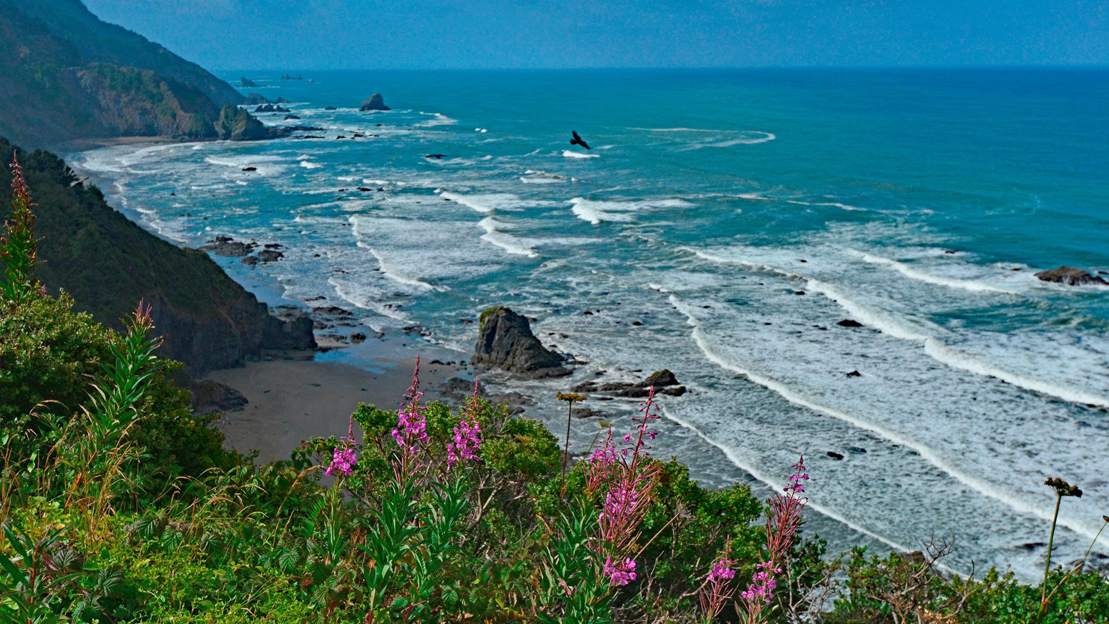 Coastal bluffs and vegetation above Enderts Beach