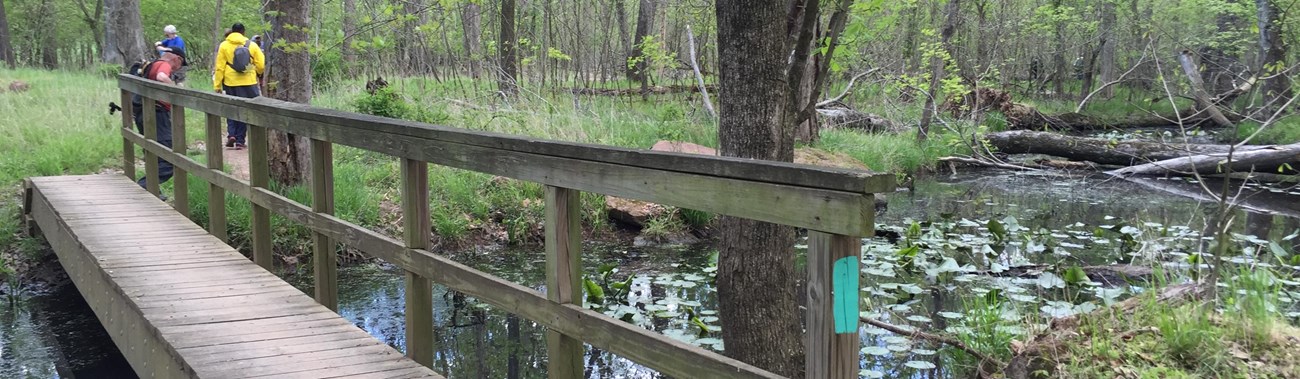 a 20-foot wooden bridge with a handrail over a small creek