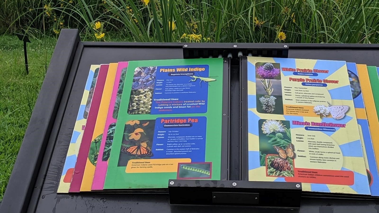 A laminated, outdoor book is mounted on an information sign in front of prairie grasses.