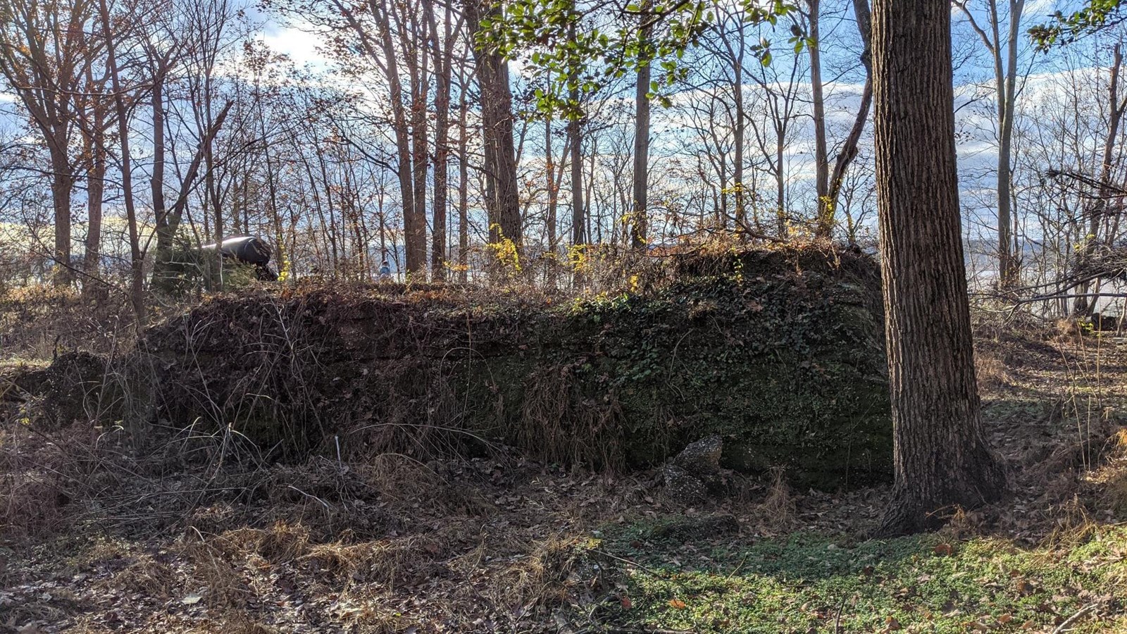 A small crumbling stone structure overgrown with trees and brush