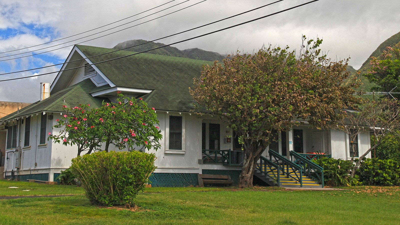 A large white wooden building with a darker grey roof & a tall tree growing near the front entrance.