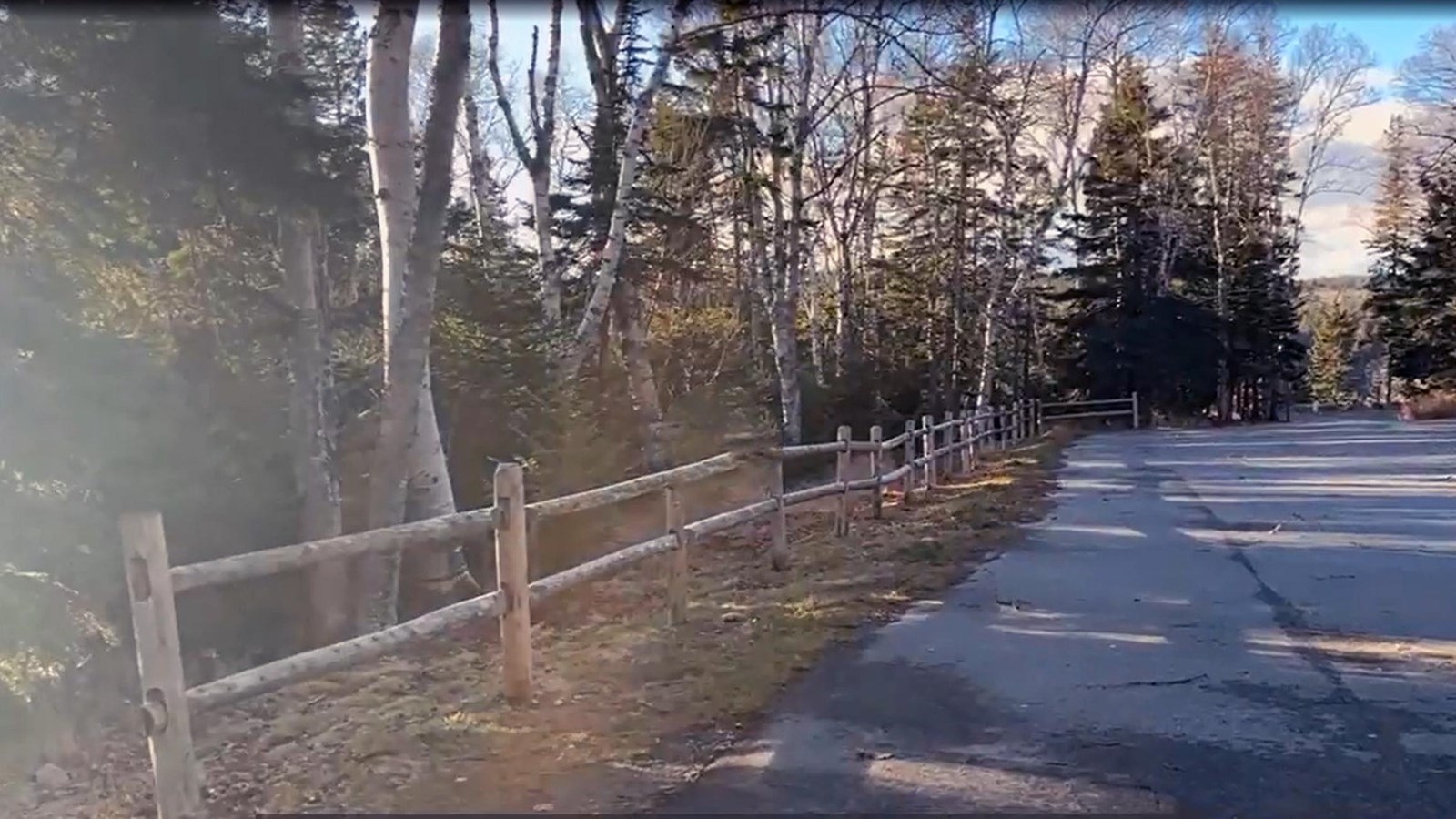 Asphalt parking lot surrounded by tall trees with a wooden rail fence along one side