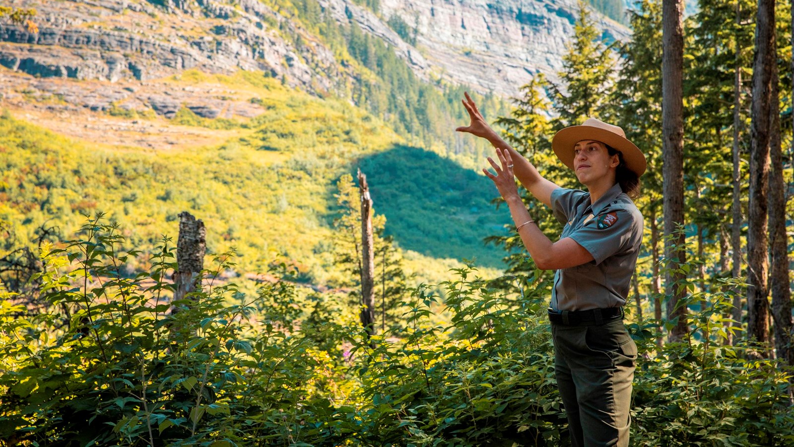 A park ranger standing in a mountain forest