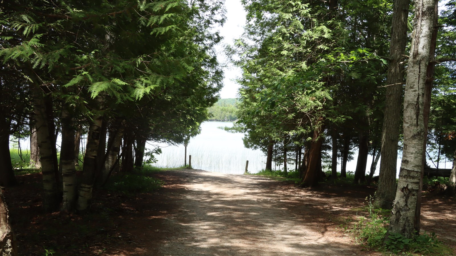 Amongst the trees, a packed gravel path leads toward the water and opens to the lake. 