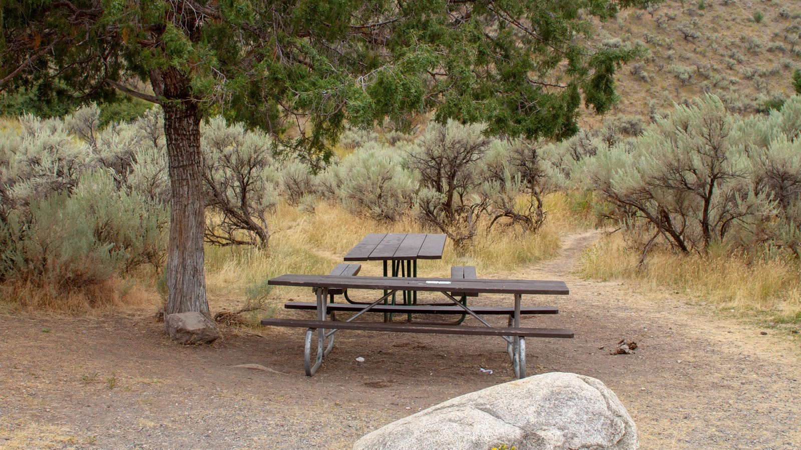 Picnic table beneath a tree with sagebrush in the back
