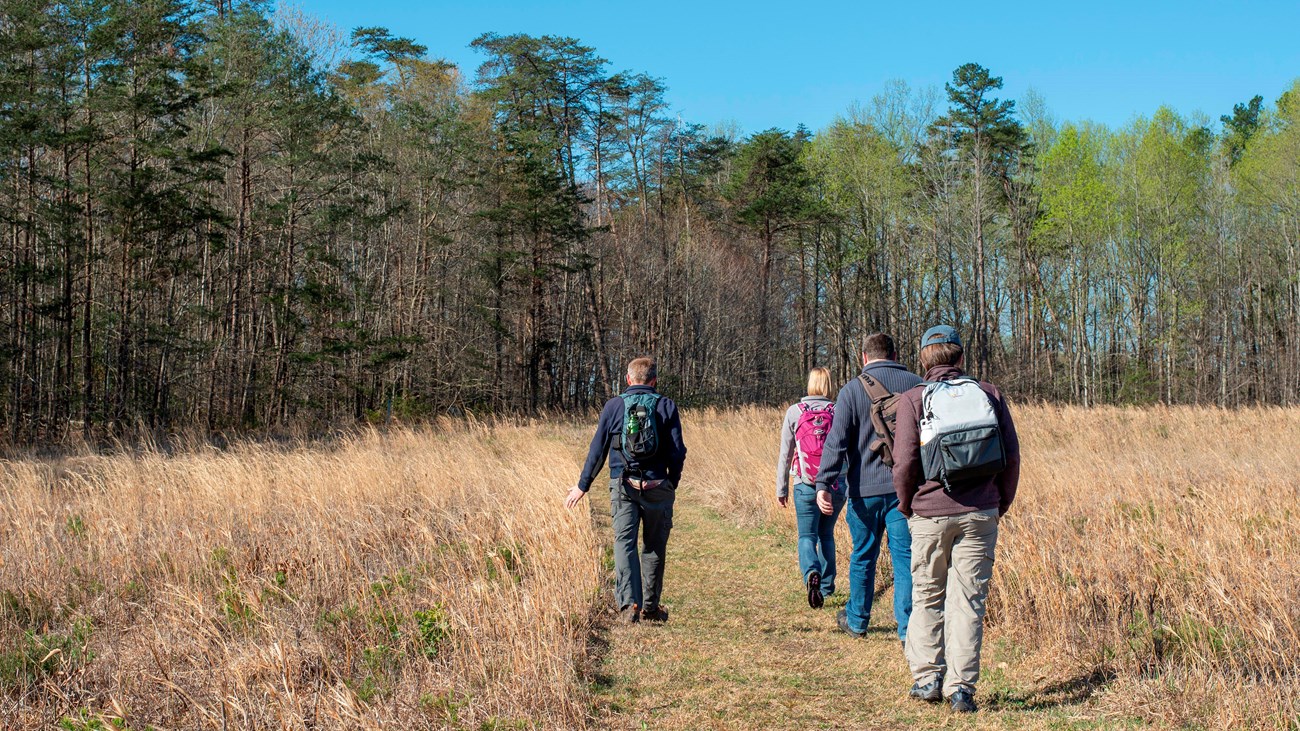 Four adults walking along a dirt path in the middle of a field.