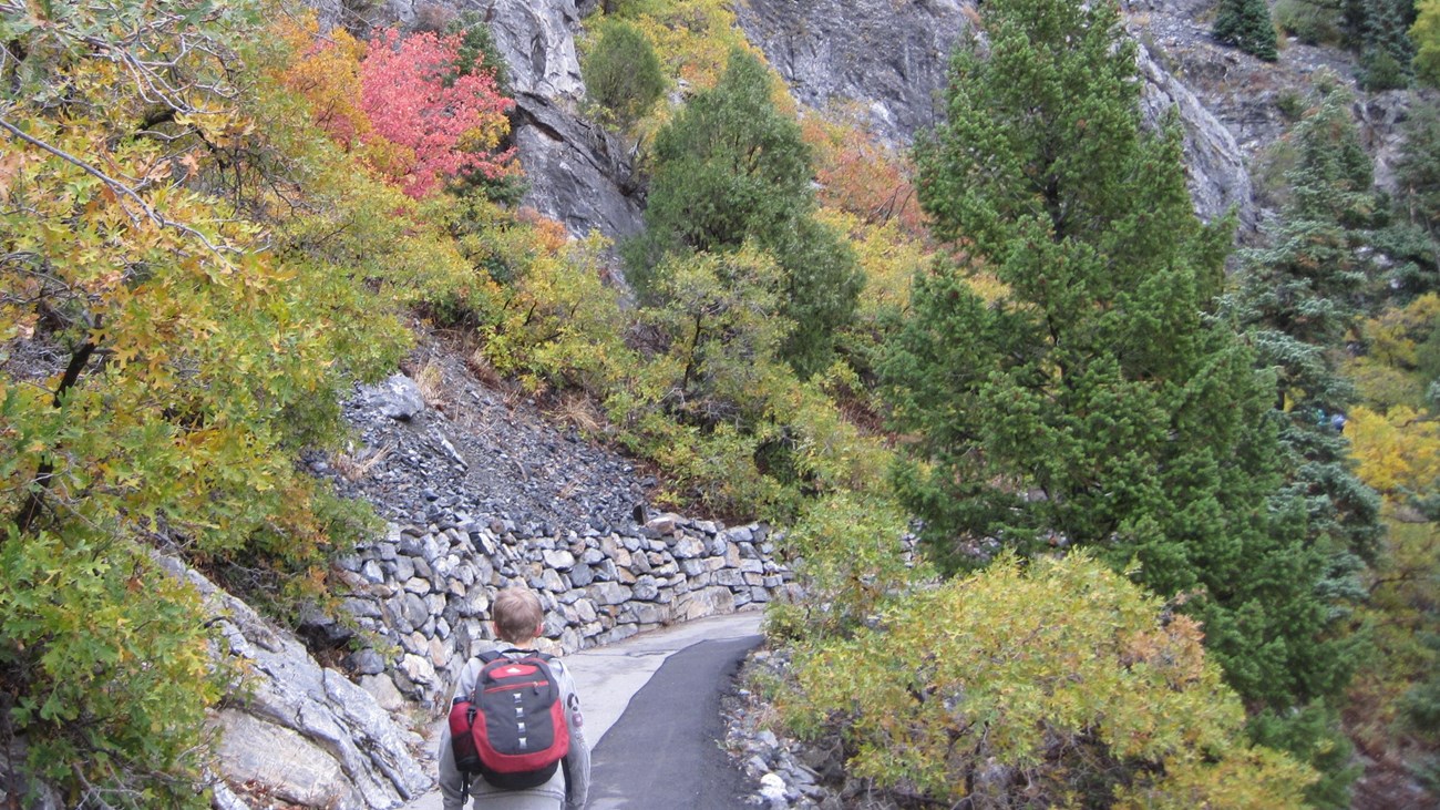 Young boy walking up trail with backpack and jacket