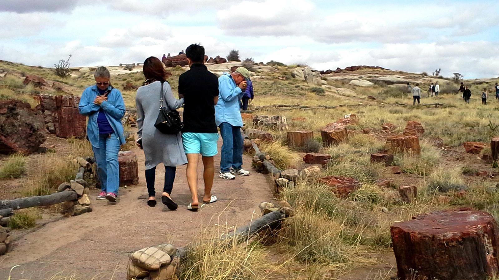 Hikers walking on trail through grassland and pieces of petrified wood, mostly cloudy sky above.