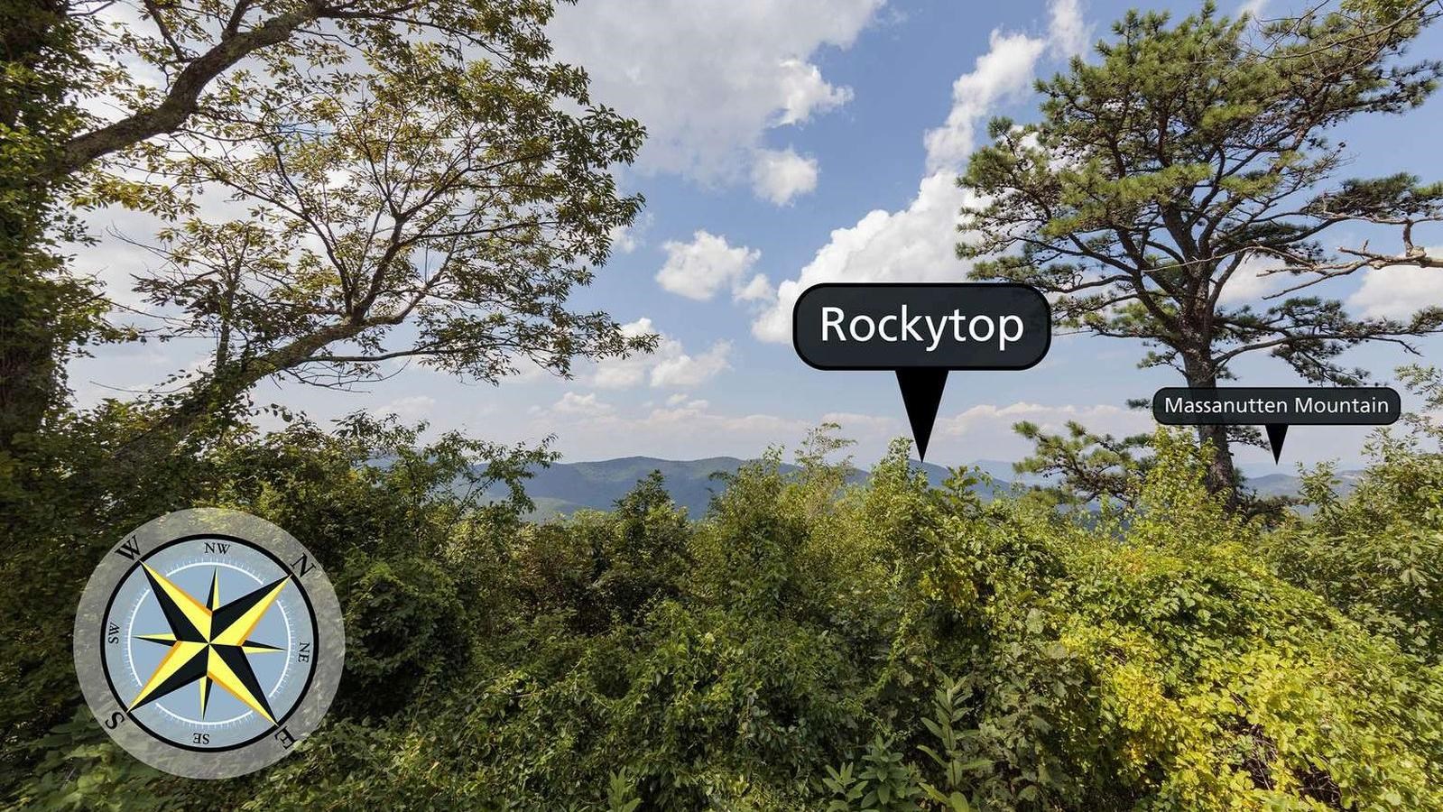 A view with shrubs and brush surrounded by trees and a ridge in the distance.