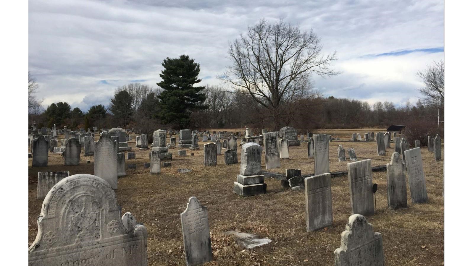 cemetery with scattered headstones with trees in the background