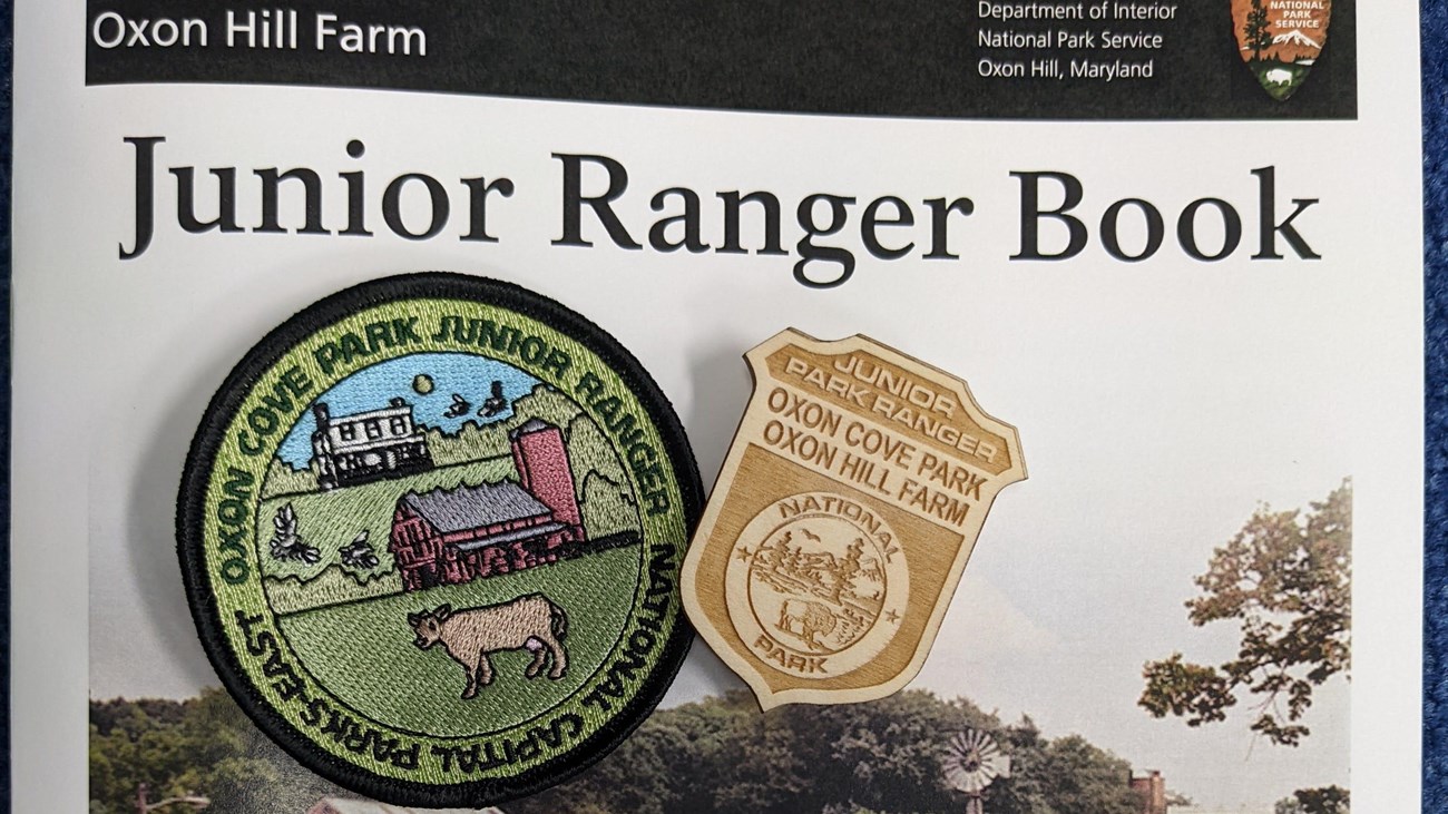 a Junior Ranger badge and patch sit atop an activity book