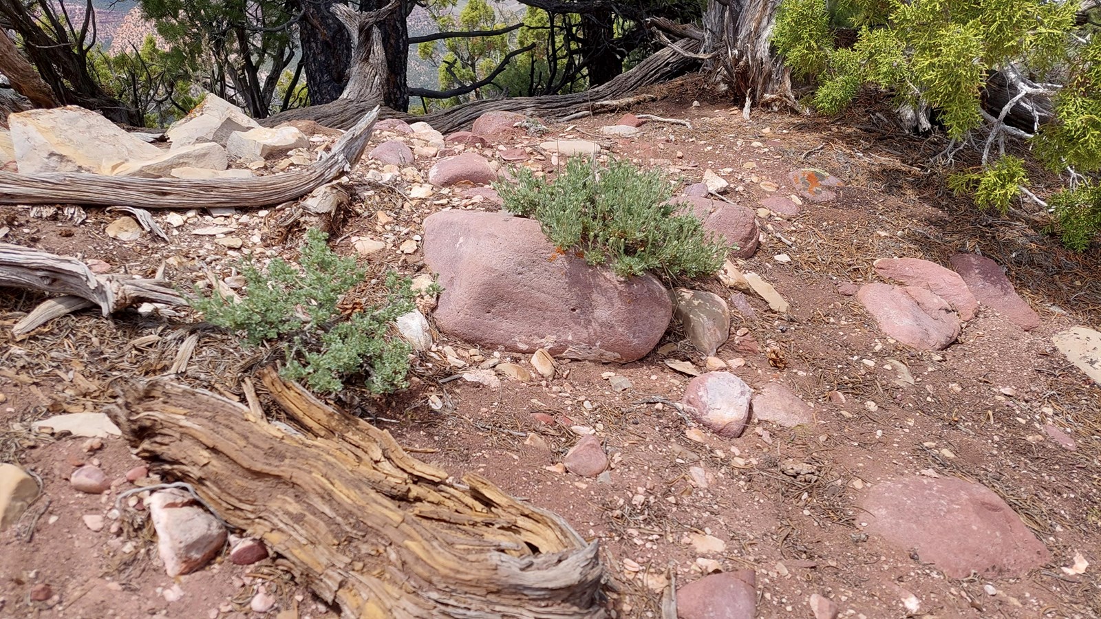 Large, smooth, reddish rocks dispersed through desert soil.