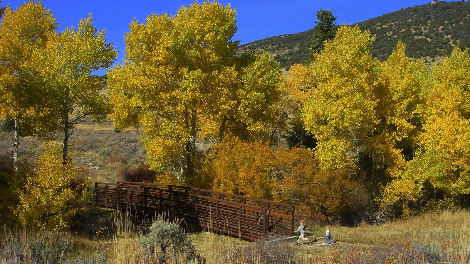 Trail head with children playing near a bridge. Fall colors in background.