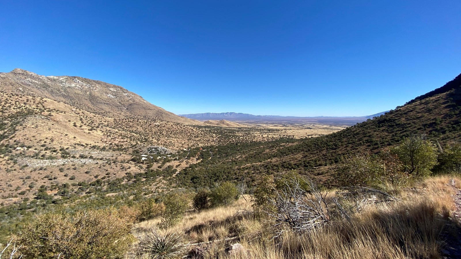 Looking towards the mouth of a canyon with desert plants and grasses in the foreground.