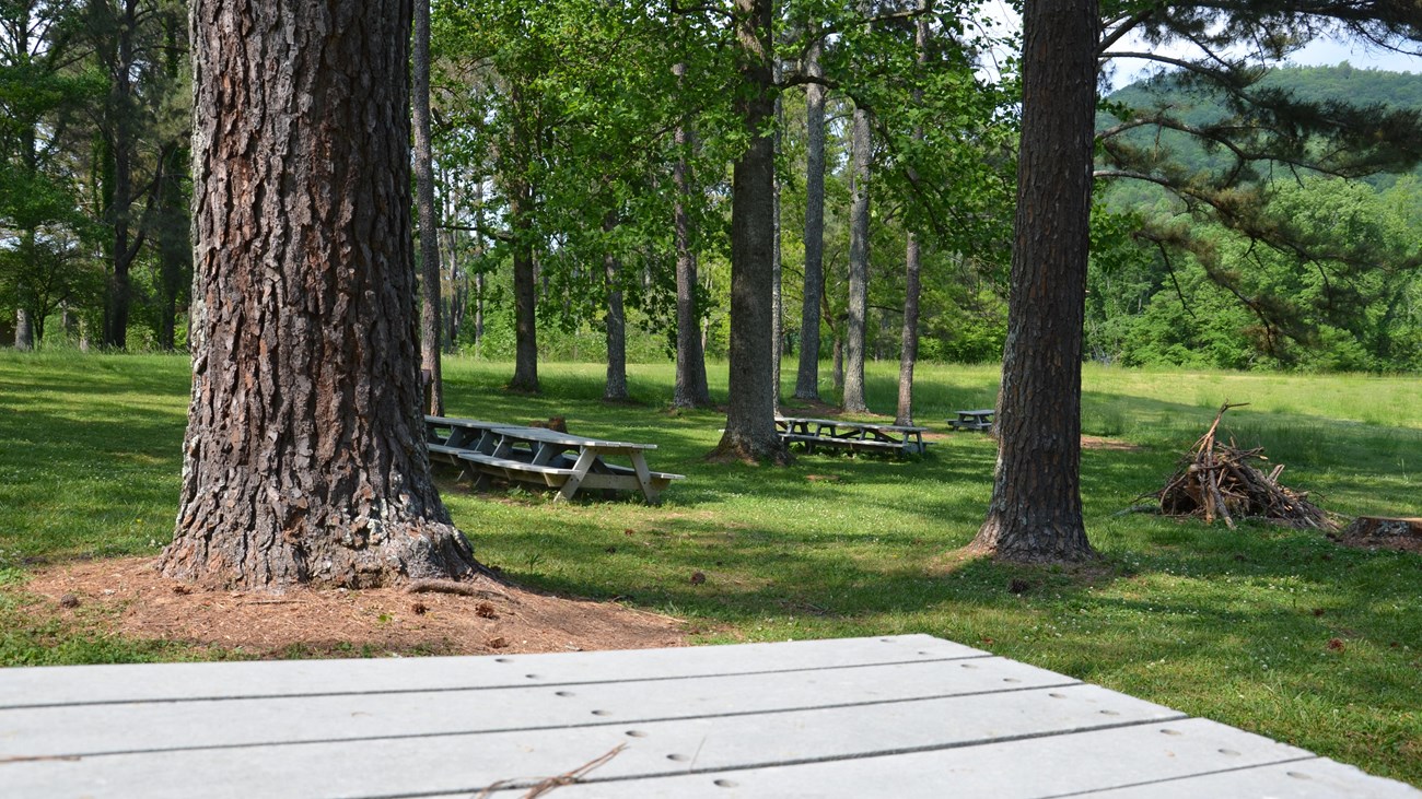 A picnic table sets in a field with trees nearby