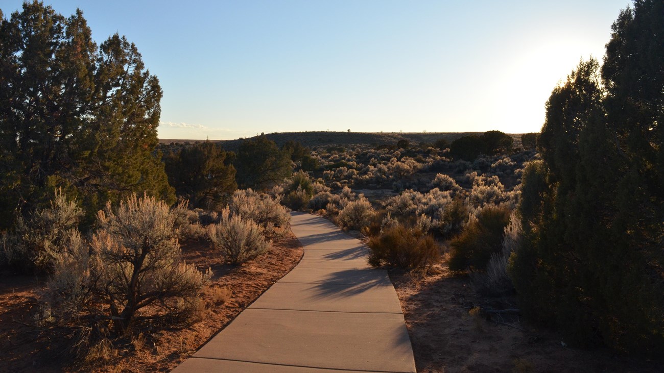 a sidewalk winds through desert landscape at sunset