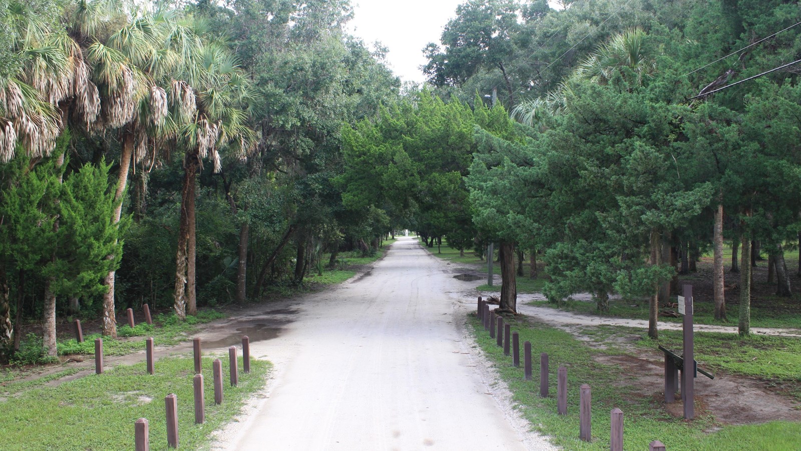 a white dirt road and trees