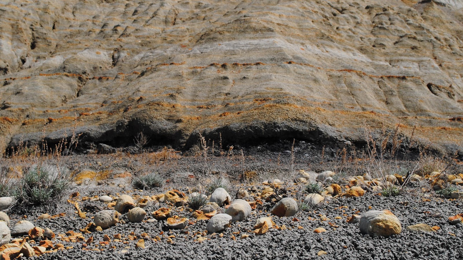 Layers of different colored stone, with plants growing along the top