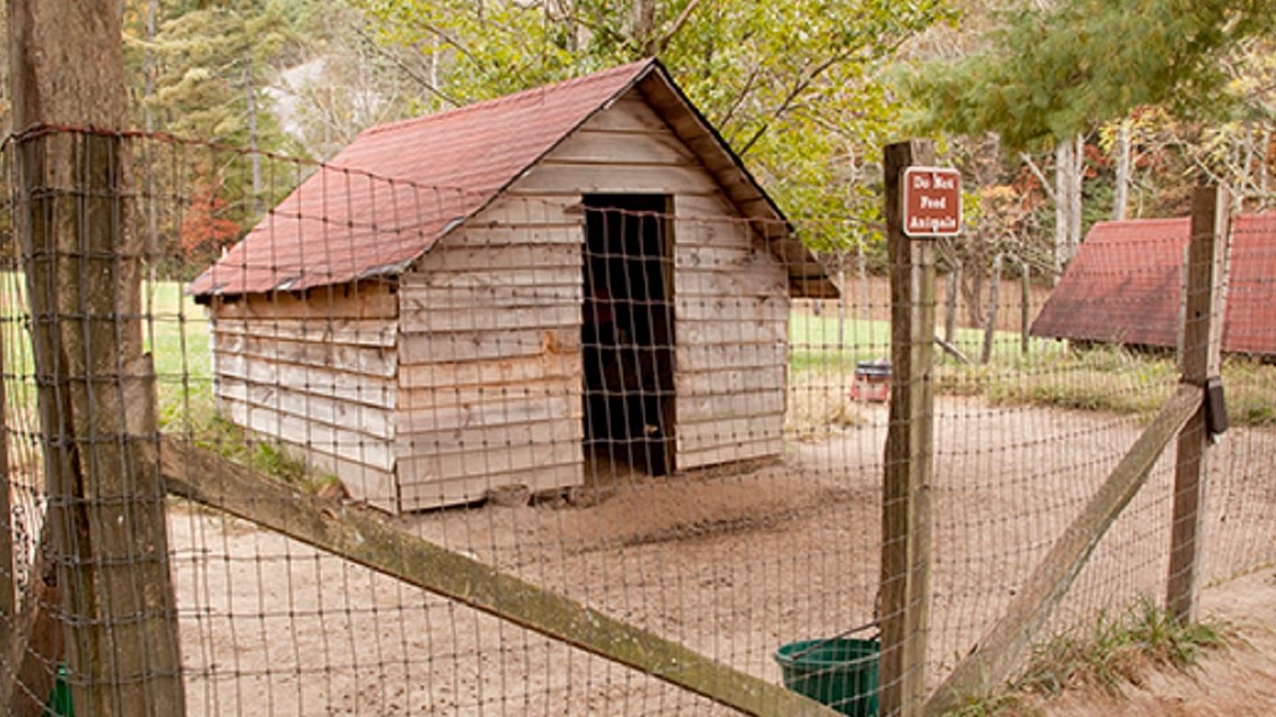 Two small wooden sheds sit inside a fence pasture area