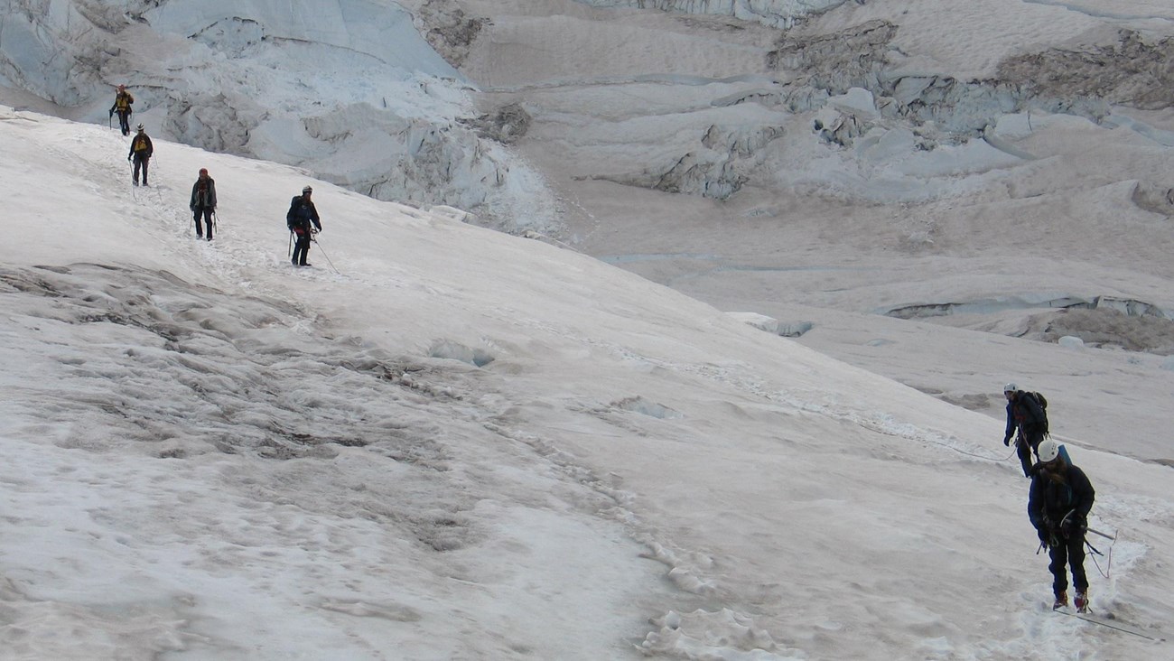 A string of climbers, darkly silhouetted against a white, glacier-covered slope, follow a boot track