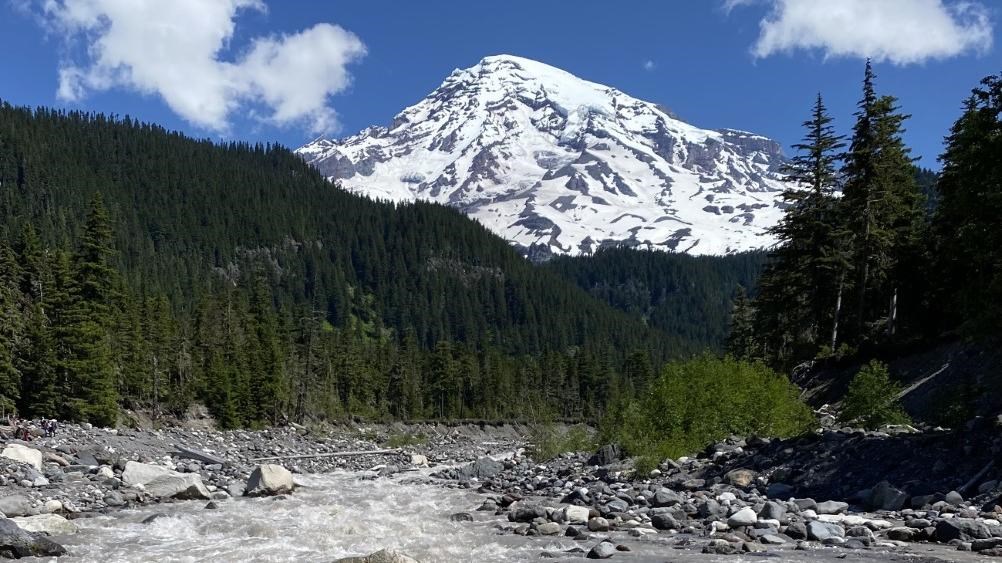 Mount Rainier with a few clouds in the sky. Below the mountain are tall evergreen trees and a river.