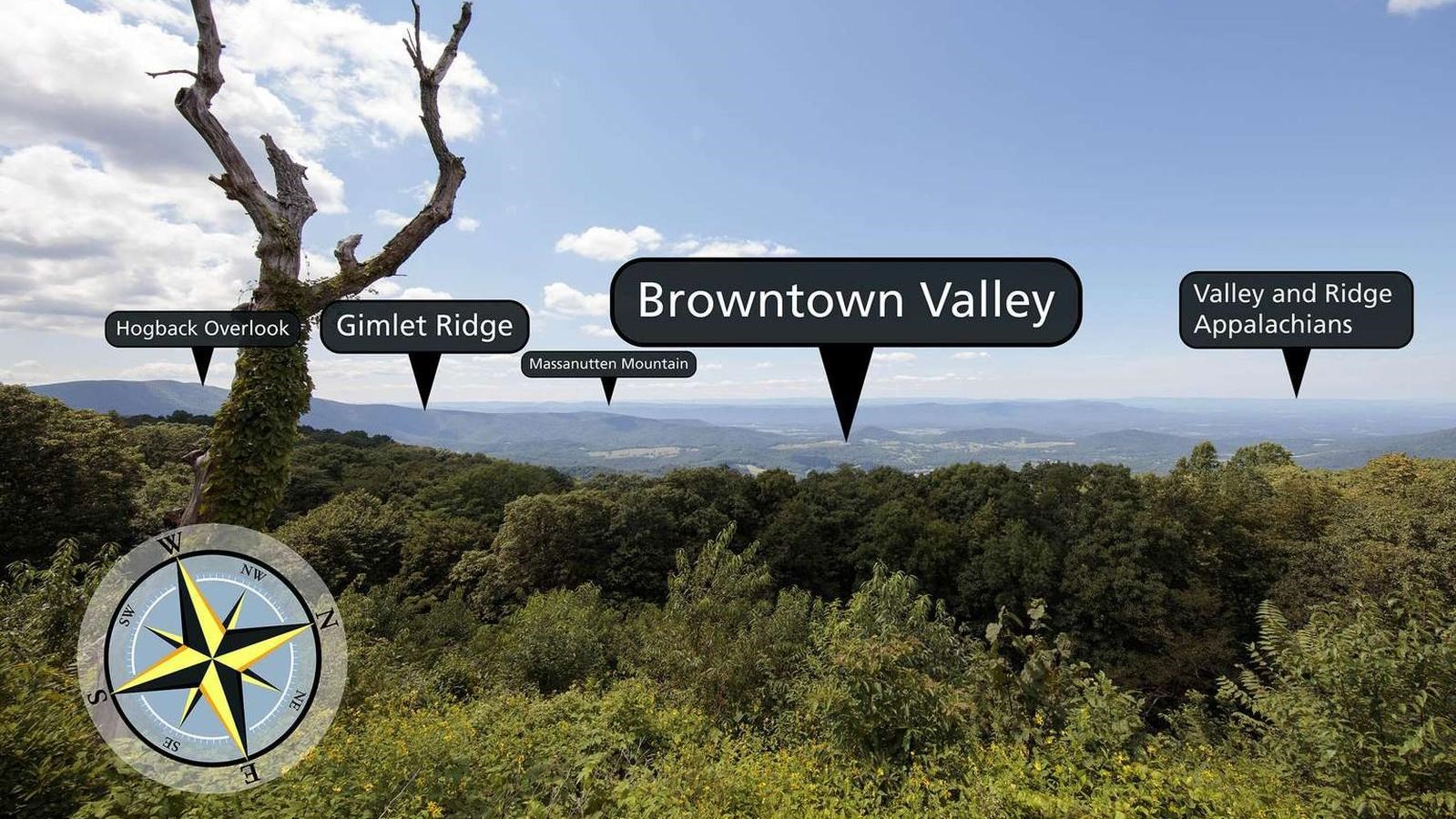 View over shrubs with tree in foreground of valley in distance.