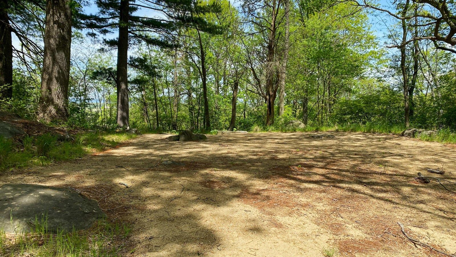Dirt covered area in wooded area.