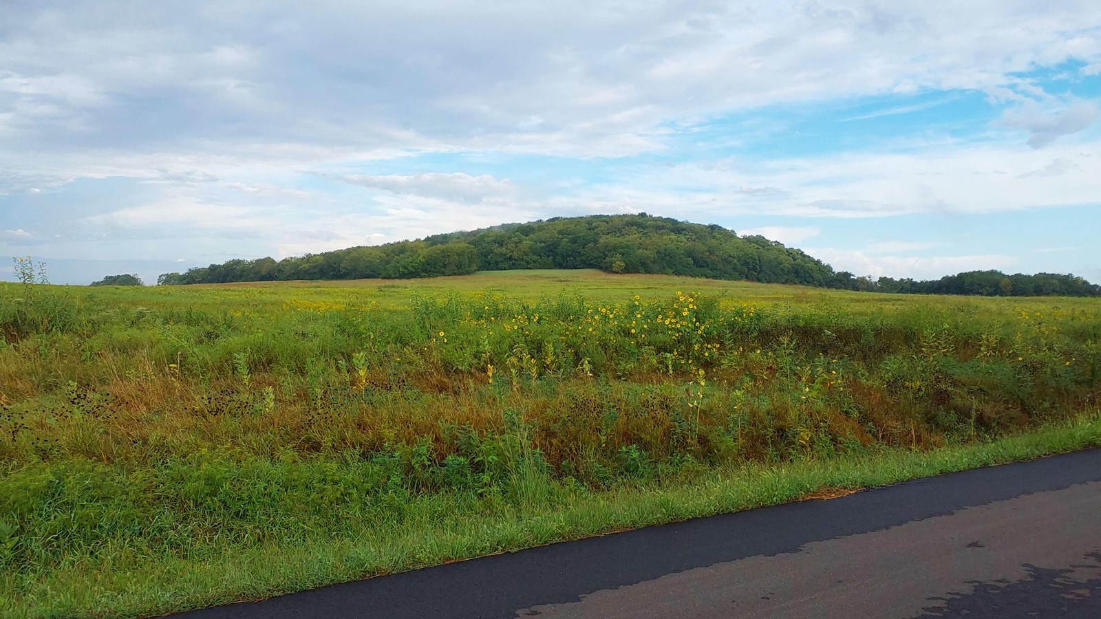 Blue Mound appears as a low, thickly forested rise along the near horizon beneath cloudy sky.