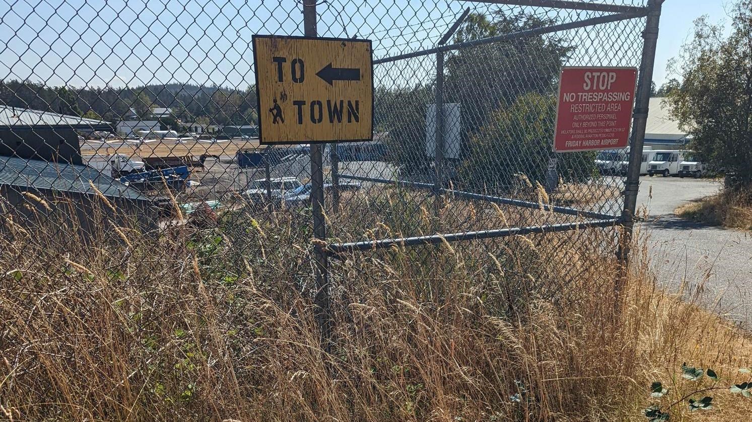 A dog next to a fence with an airport behind it