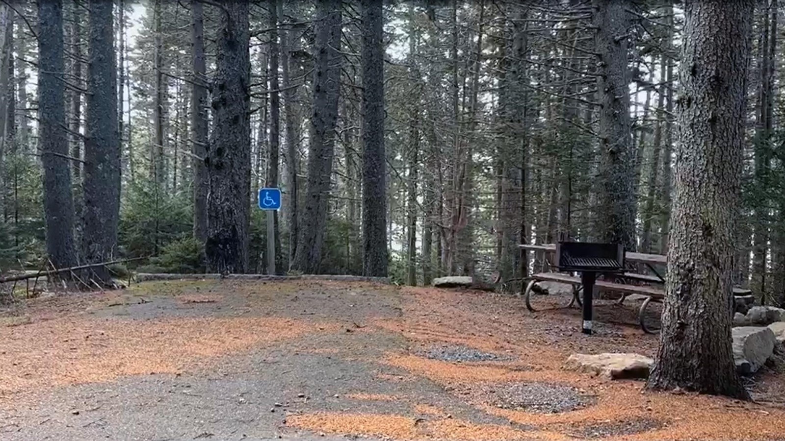 Asphalt parking pad in dense trees with a picnic table and metal cooking grill
