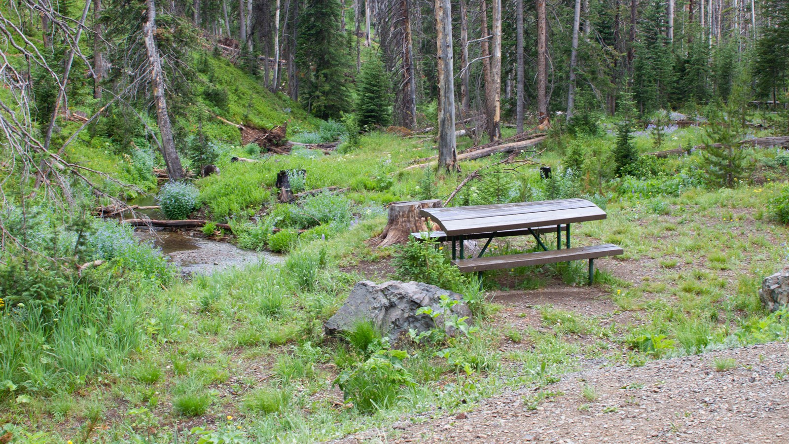 A picnic table in the forest near a stream