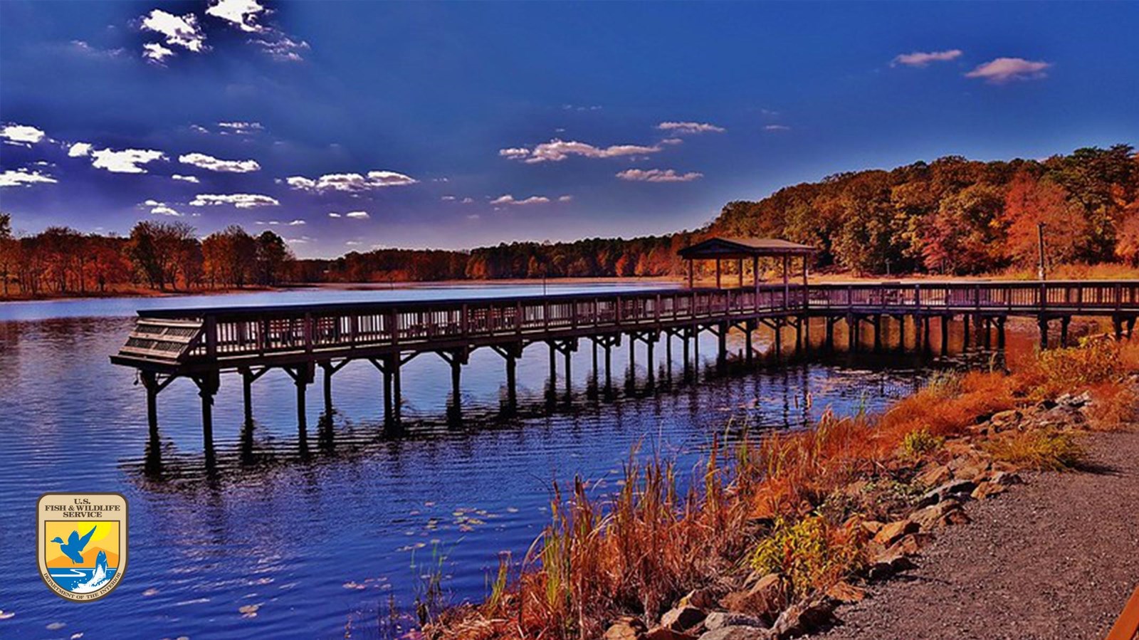 South Tract Trails, Patuxent Research Refuge