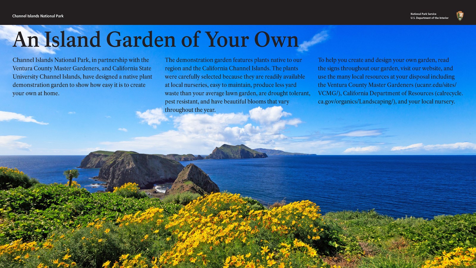 Overlook on island with yellow flowered plants and view of two islets.