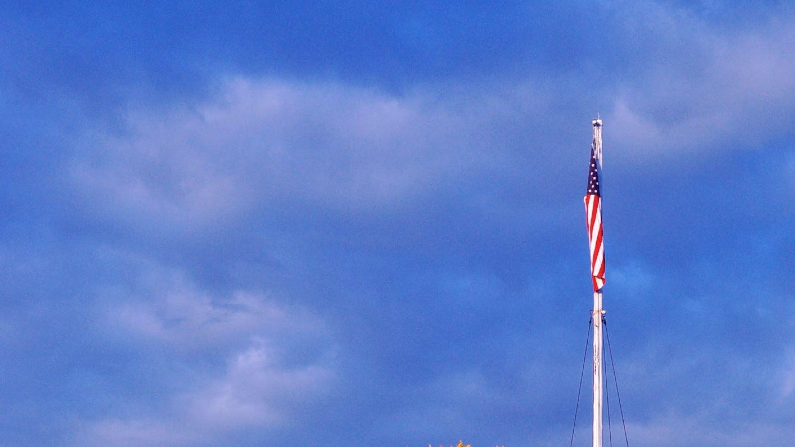 Flag pole full staff with a green tree in front