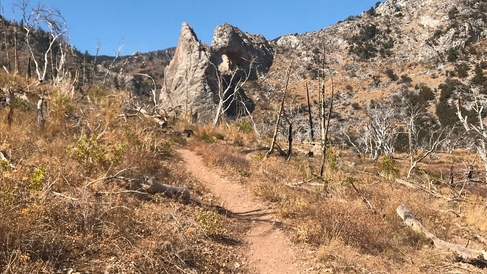 Trail leading to Lexington arch with burned trees around