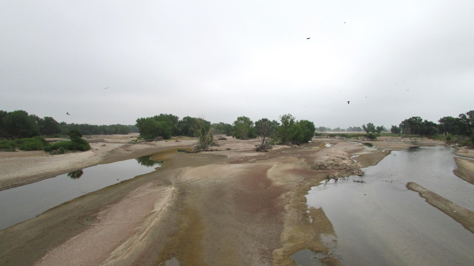 The view looks directly upstream into a river channel that is choked with sand bars.