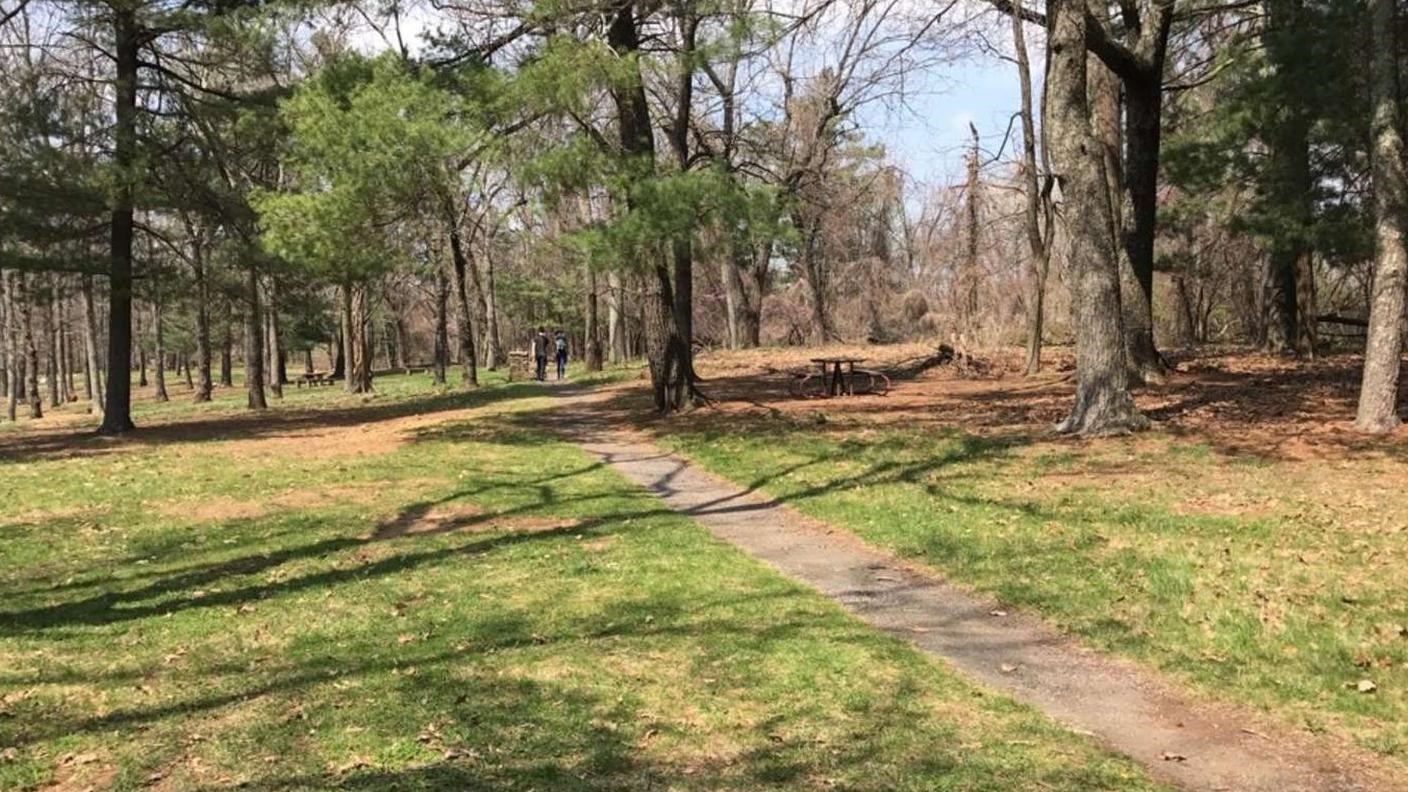 A open grassy, sparsely wooded area with picnic tables scattered about.