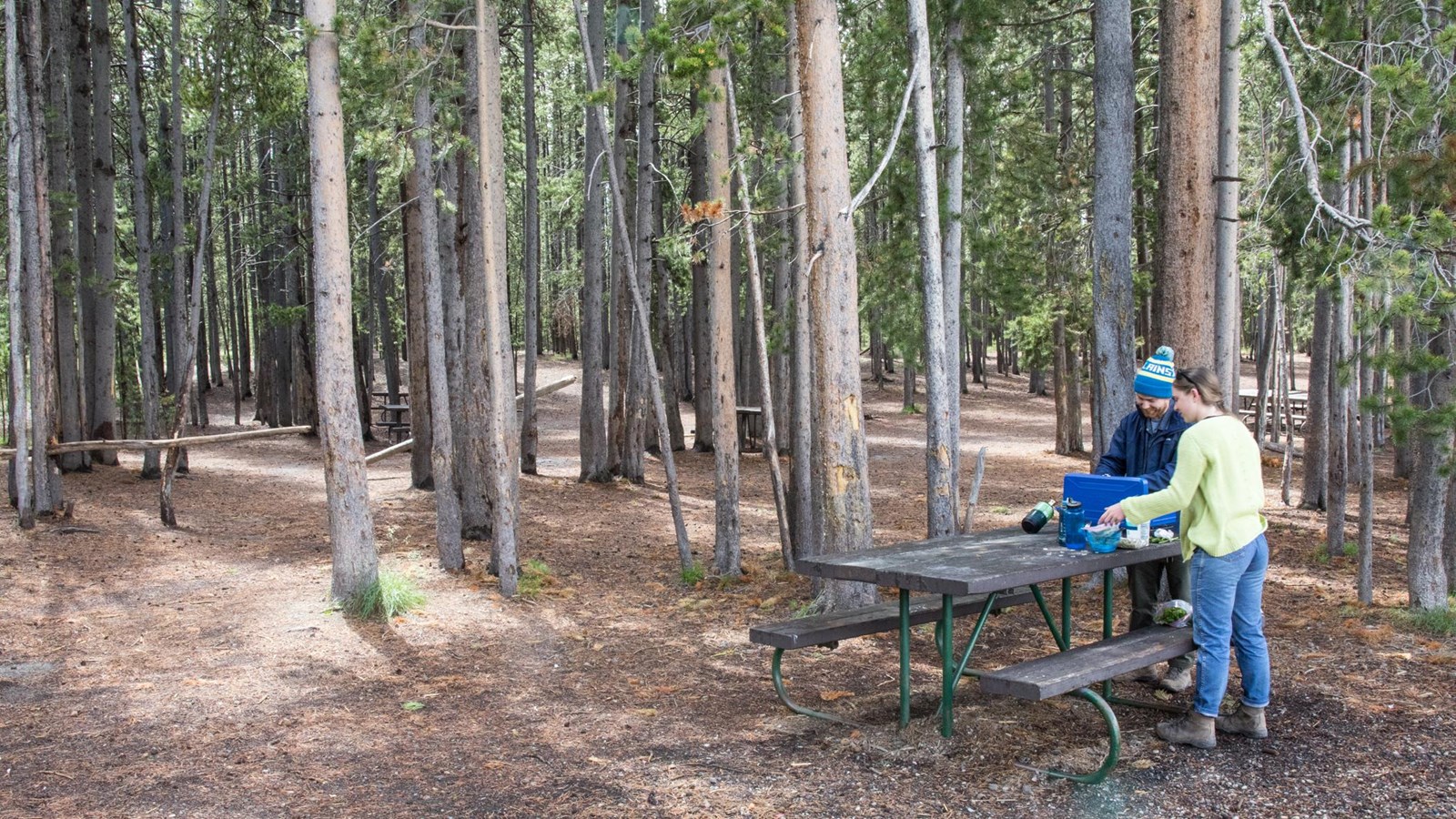 Two people prepare picnic on table in woods