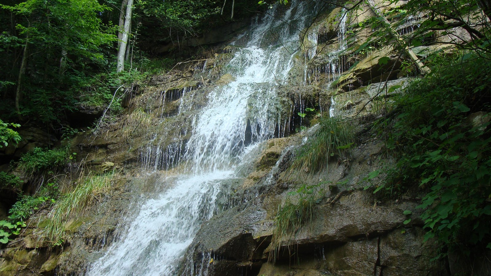 Water cascading down brown rocks covered in green moss and grasses