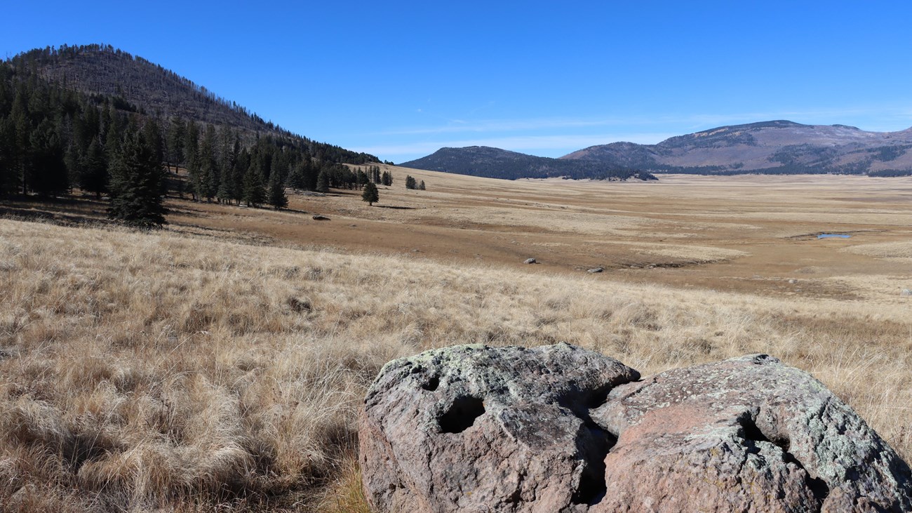 A large boulder in a vast, grassy valley surrounded by forested hills.